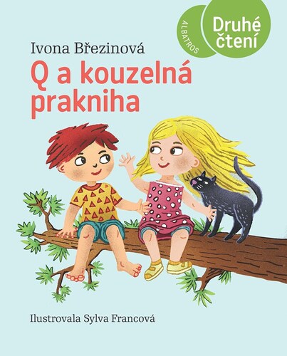 Kniha Q a kouzelná prakniha - Ivona Březinová