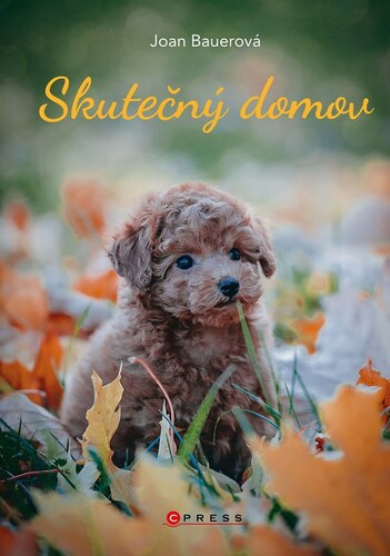 Kniha Skutečný domov - Joan Bauerová