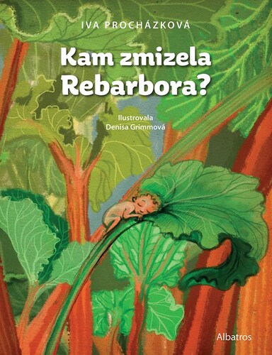 Kniha Kam zmizela Rebarbora? - Iva Procházková