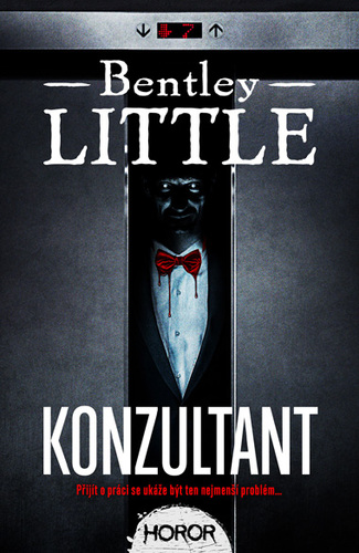 Kniha Konzultant - Bentley Little