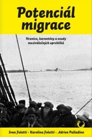 Kniha Potenciál migrace