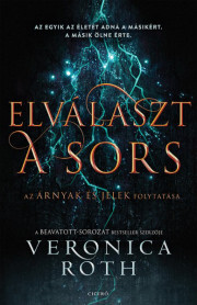 Kniha Elválaszt a sors - Veronica Roth