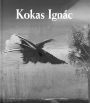 Kniha Kokas Ignác - Gyula Rózsa