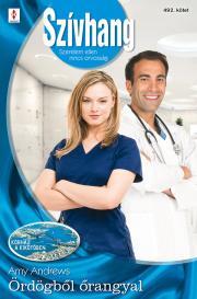 Kniha Szívhang 492. - Andrews Amy