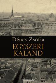 Kniha Egyszeri kaland - Zsófia Dénes