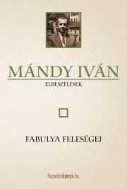 Kniha Fabulya feleségei - Iván Mándy