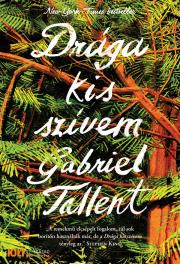 Kniha Drága kis szívem - Gabriel Tallent