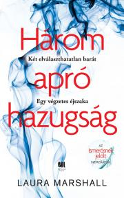 Kniha Három apró hazugság - Laura Marshall
