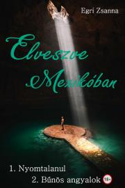 Kniha Elveszve Mexikóban 1–2. Nyomtalanul / Bűnös angyalok - Egri Zsanna