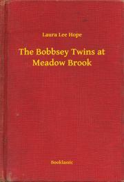 Kniha The Bobbsey Twins at Meadow Brook - Hope Laura Lee