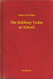Kniha The Bobbsey Twins at School - Hope Laura Lee