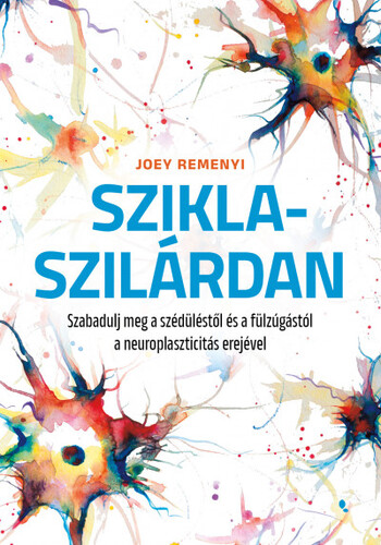 Kniha Sziklaszilárdan - Joey Remenyi,Szabolcs Tóth