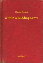 Kniha Within A Budding Grove - Marcel Proust