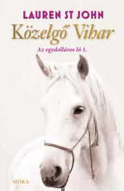 Kniha Közelgő vihar - Lauren St John