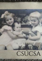 Kniha A jéghegy csúcsa - Lám Edit