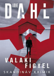 Kniha Valaki figyel - Arne Dahl