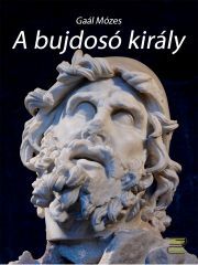 Kniha A bujdosó király - Gaál Mózes