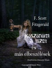 Kniha Köszönöm a tüzet és más elbeszélések - Francis Scott Fitzgerald