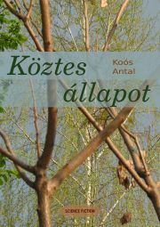 Kniha Köztes állapot - Koós Antal