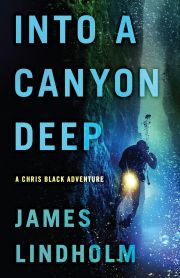 Kniha Into a Canyon Deep - Lindholm James