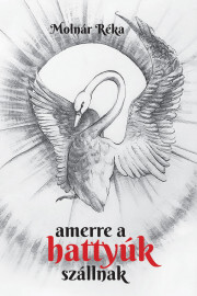 Kniha Amerre a hattyúk szállnak - Molnár Réka