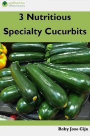 3 Nutritious Specialty Cucurbits - Jose Ciiju Roby
