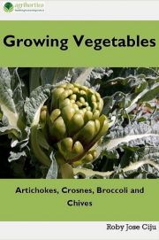 Growing Vegetables - Jose Ciiju Roby
