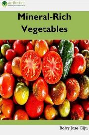 Mineral-Rich Vegetables - Jose Ciiju Roby