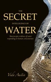 Kniha The Secret Intelligence of Water - Austin Veda