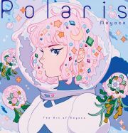 Kniha Polaris - . Meyoco