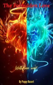 Kniha The Forbidden Love - Rusert Poppy
