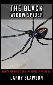 The Black Widow Spider - Slawson Larry