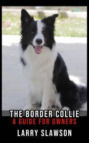 The Border Collie - Slawson Larry