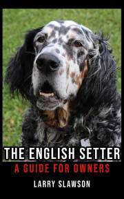 The English Setter - Slawson Larry