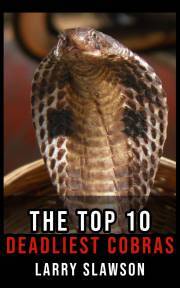 The Top 10 Deadliest Cobras - Slawson Larry