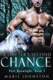 Kniha A Shifter's Second Chance - Johnston Marie