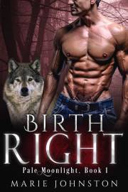 Kniha Birthright - Johnston Marie