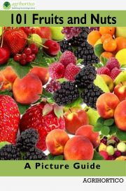 101 Fruits and Nuts