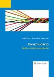 Kniha Konszolidáció - Fridrich Péter,Simon Szilvia,Sztanó Imre