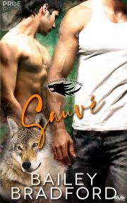 Kniha Sauvé - Bradford Bailey