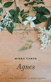 Kniha Agnes - Canth Minna