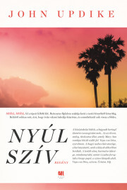 Kniha Nyúlszív - John Updike