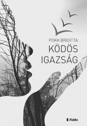 Kniha Ködös igazság - Pokk Brigitta