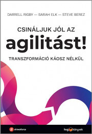 Kniha Csináljuk jól az agilitást! - Berez Steve,Elk Sarah,Rigby Darrell
