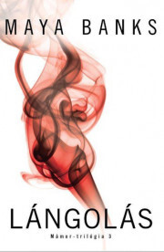 Kniha Lángolás - Maya Banks