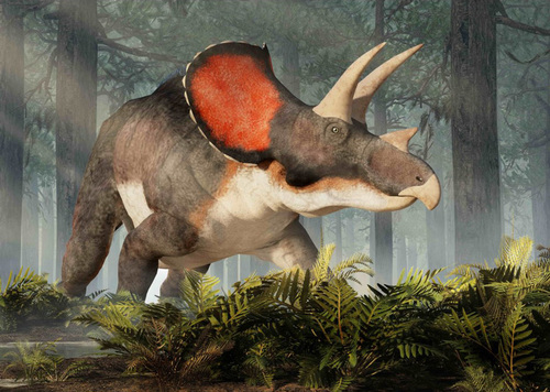 tvorme s.r.o. 3D pohľadnica Triceratops