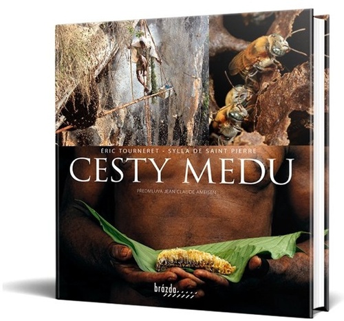 Kniha Cesty medu