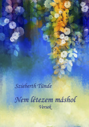 Kniha Nem létezem máshol - Szieberth Tünde