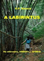 Kniha A labirintus - G.F. Severa