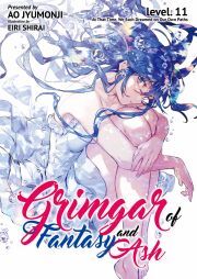 Grimgar of Fantasy and Ash: Volume 11 - Jyumonji Ao